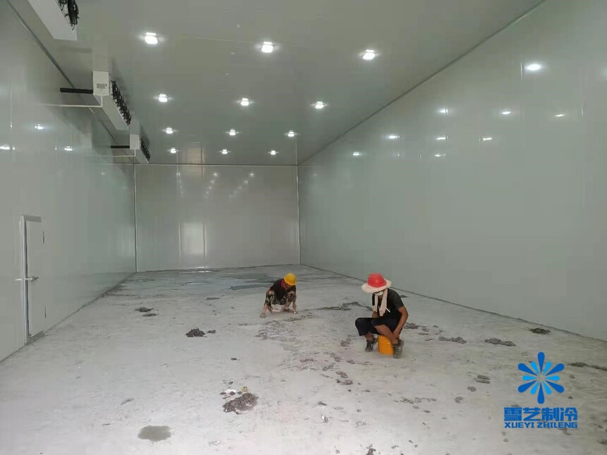 肇东龙头企业抢占“十五五”发展先机(图1)