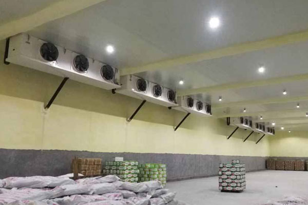 2025年农业物流行业深度分析：现状洞察、前景展望与未来趋势