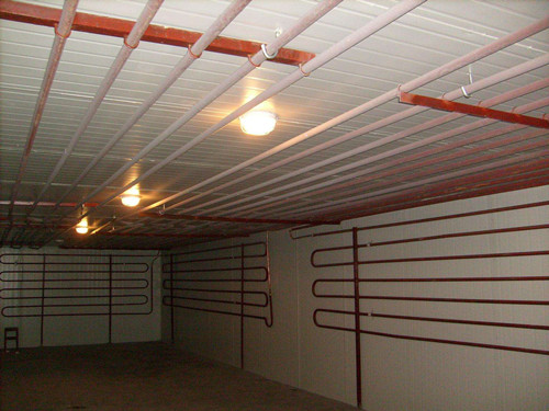 “90后”新农人白亚龙：果映初心实干兴乡