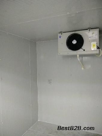 菏泽牡丹逆季盛开：60万盆新春“致富花”热销