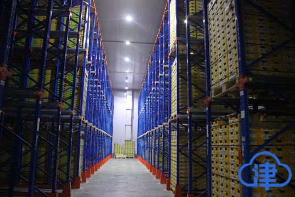 圣农发展新专利：移动式除冰霜冰柜助力冷链科技革新(图1)